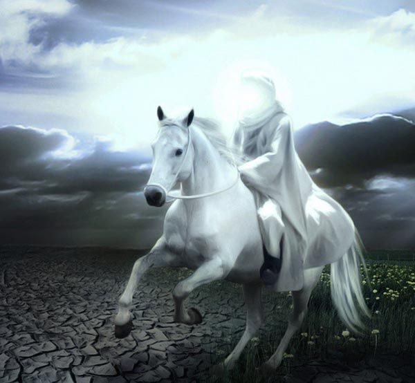 یاران امام حسین در کربلا 