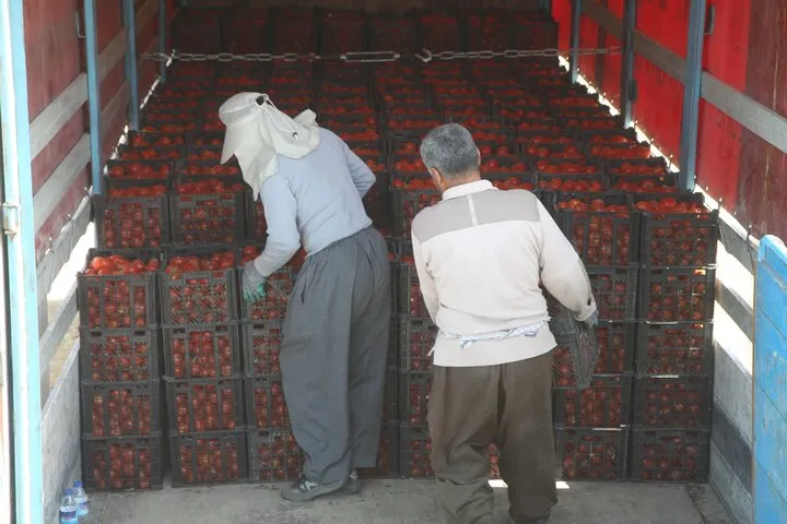 کالاهای صادراتی در مرز پرویزخان