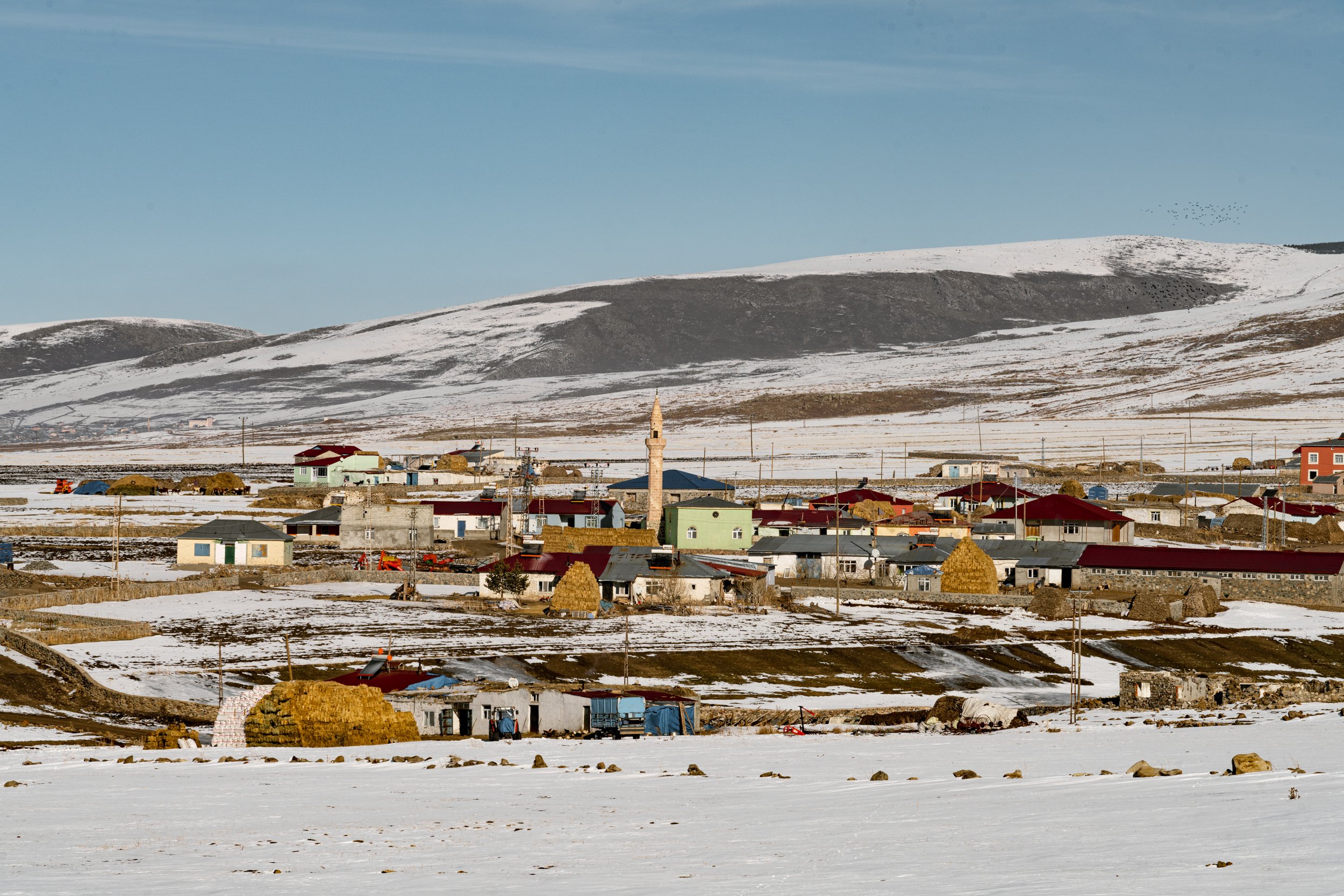 وان
