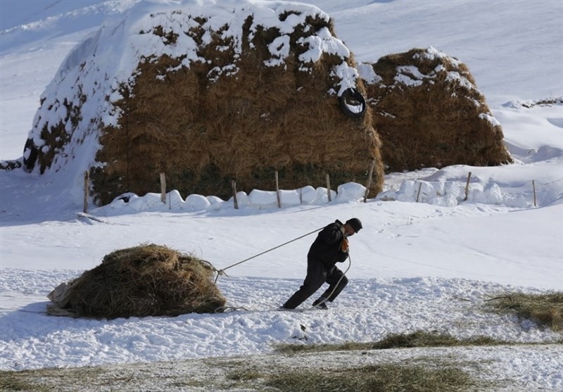 روستاهای اطراف وان