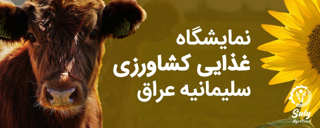 رزرو تور دبی از تهران - گلگشت هتل